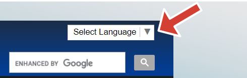 Click on the top right corner to select the language