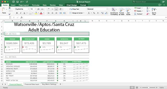 MS Excel Screen Shot